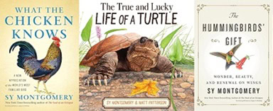 three book covers by sy montgomery are shown: one with a chicken, one with a turtle, and one with two hummingbirds.