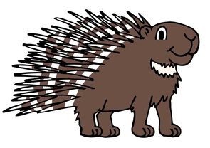 porcupine