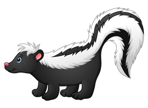 skunk